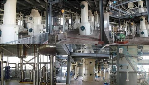 Oil Deodorizing Machine Overview: Explore Key Factors Before It’s Too Late
